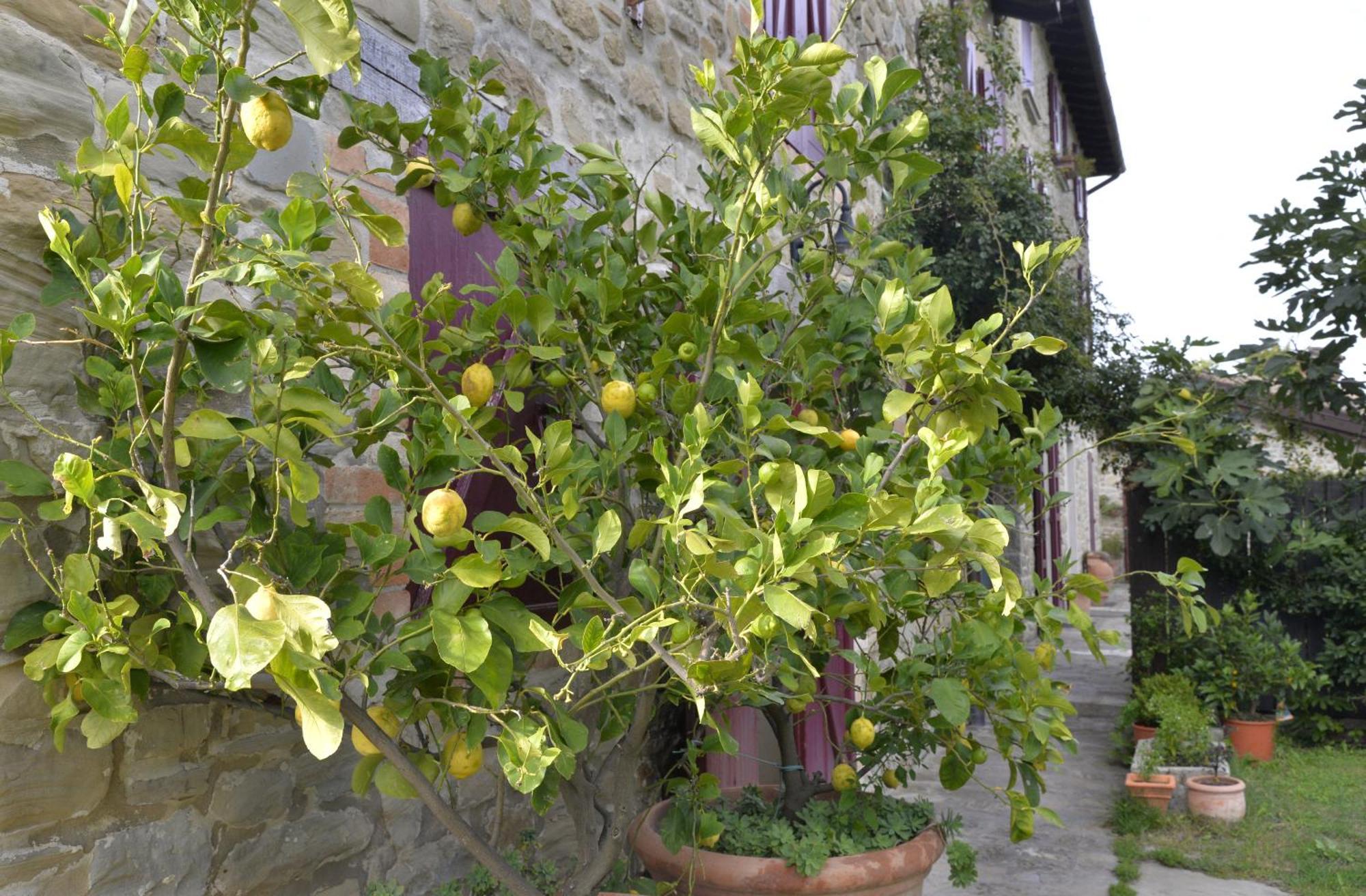 Agriturismo Campo Del Pillo Pietradura Buitenkant foto