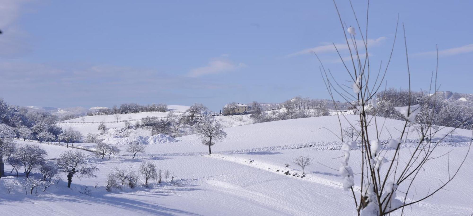 Agriturismo Campo Del Pillo Pietradura Buitenkant foto